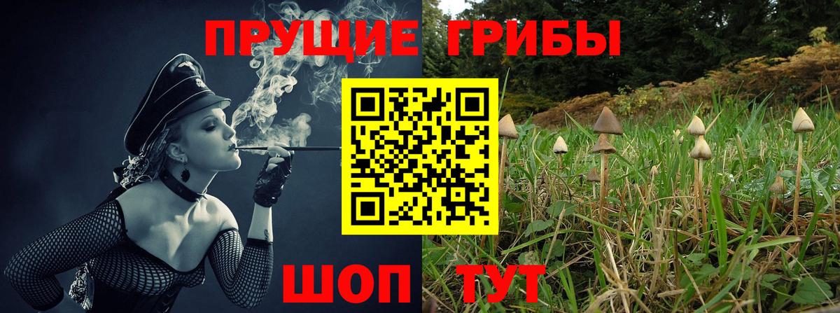 Псилоцибиновые грибы MAGIC MUSHROOMS  Галлюциногенные грибы мухоморы  Воркута  даркнет сайт  Вход с VPN 